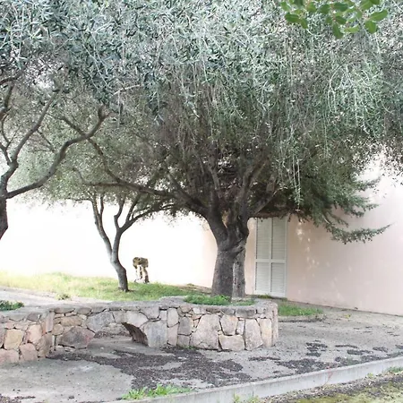 La Casa Del Mirto Homestay *